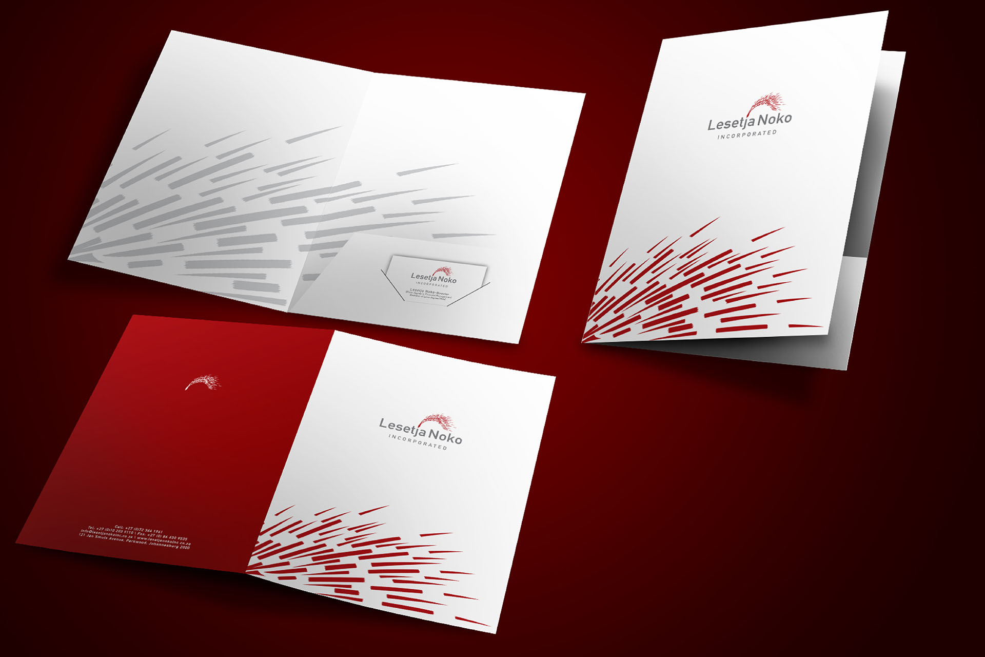 Company Presentation Folder design and Printing